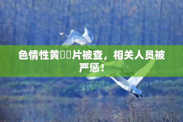 色情性黄❌‌片被查，相关人员被严惩！