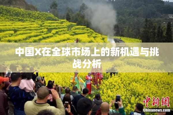 中国X在全球市场上的新机遇与挑战分析