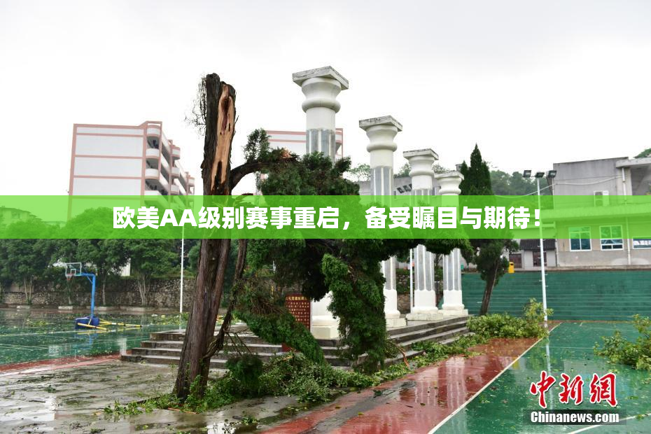 欧美AA级别赛事重启，备受瞩目与期待！