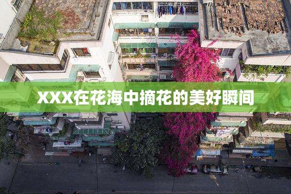 XXX在花海中摘花的美好瞬间