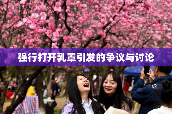 强行打开乳罩引发的争议与讨论