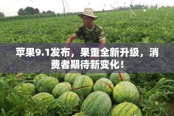 苹果9.1发布，果重全新升级，消费者期待新变化！