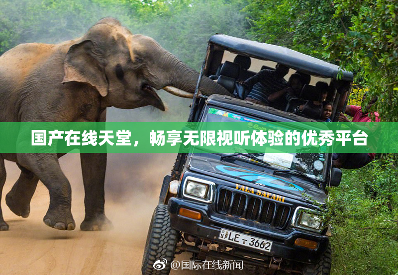 国产在线天堂，畅享无限视听体验的优秀平台