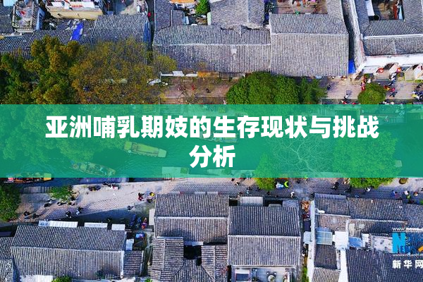 亚洲哺乳期妓的生存现状与挑战分析