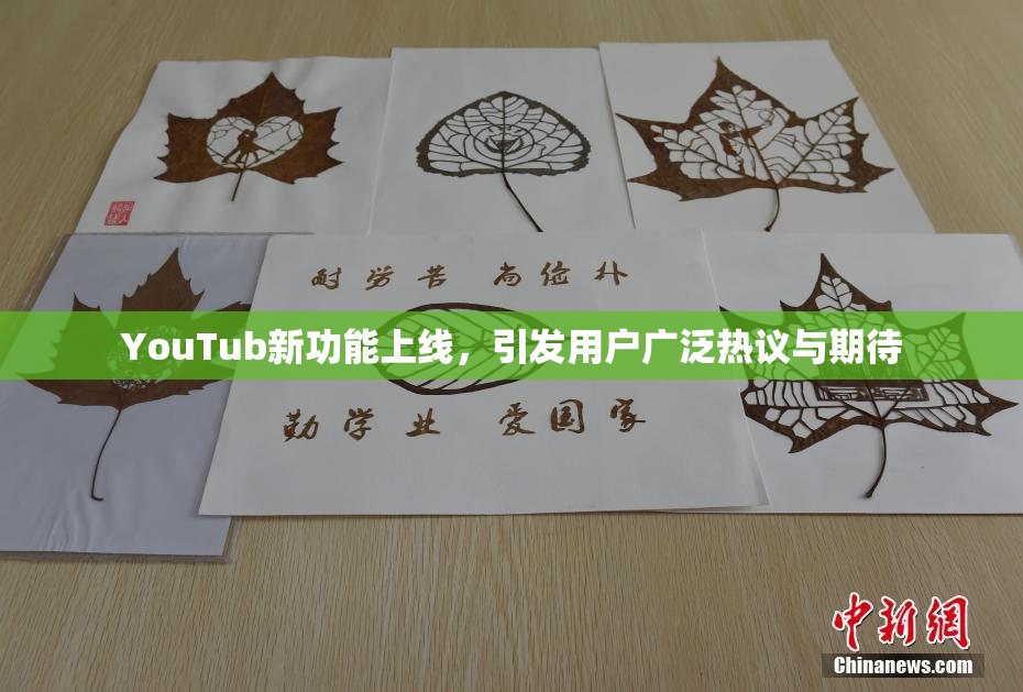 YouTub新功能上线，引发用户广泛热议与期待