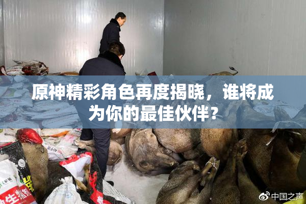 原神精彩角色再度揭晓，谁将成为你的最佳伙伴？