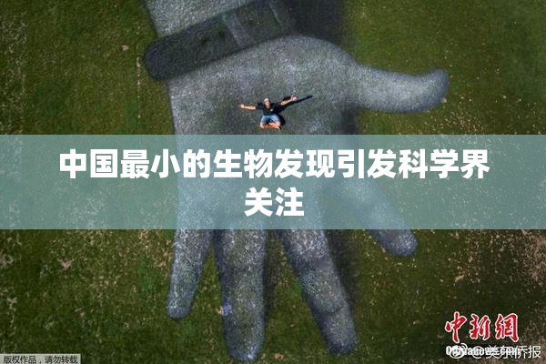 中国最小的生物发现引发科学界关注