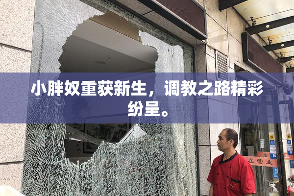 小胖奴重获新生，调教之路精彩纷呈。