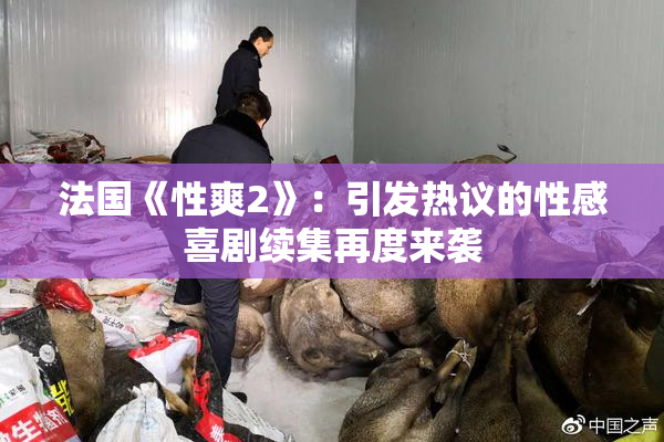 法国《性爽2》：引发热议的性感喜剧续集再度来袭