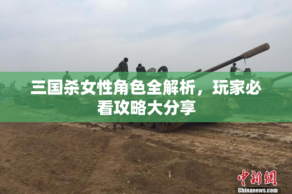 三国杀女性角色全解析，玩家必看攻略大分享