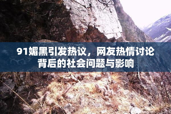 91媚黑引发热议，网友热情讨论背后的社会问题与影响