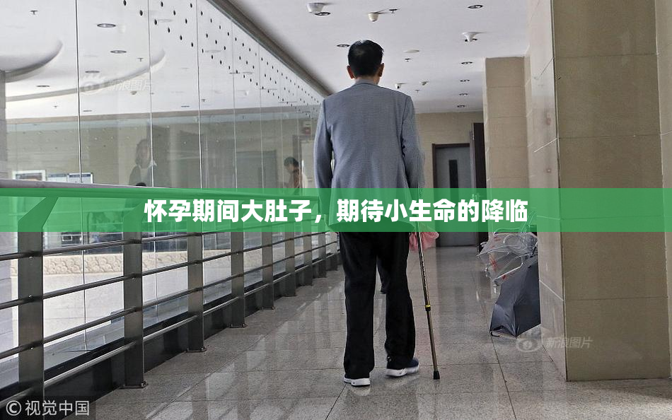怀孕期间大肚子，期待小生命的降临