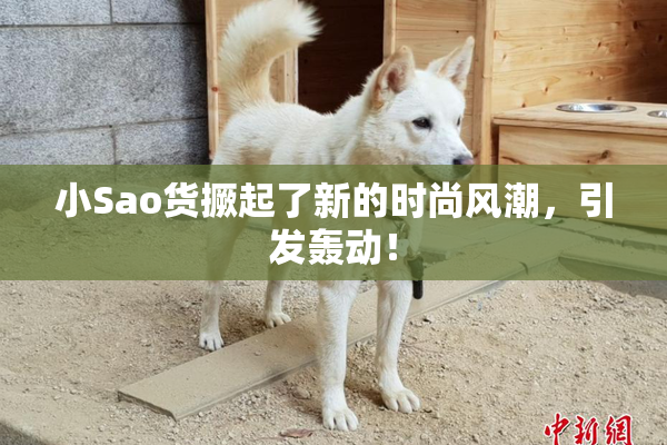 小Sao货撅起了新的时尚风潮，引发轰动！