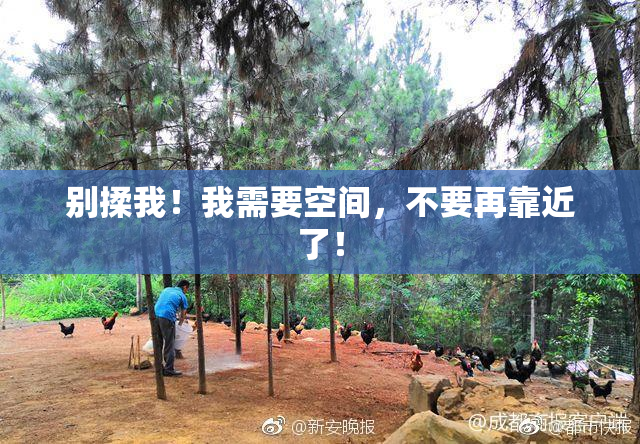 别揉我！我需要空间，不要再靠近了！