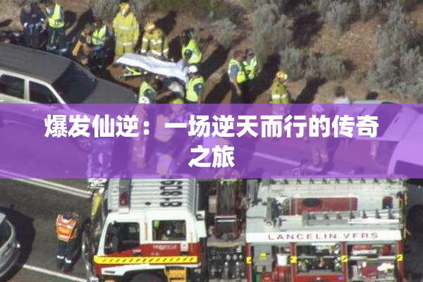 爆发仙逆：一场逆天而行的传奇之旅