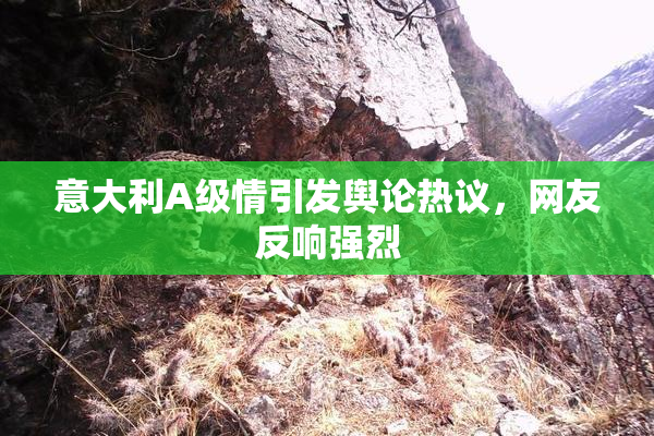 意大利A级情引发舆论热议，网友反响强烈