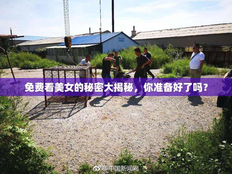 免费看美女的秘密大揭秘，你准备好了吗？