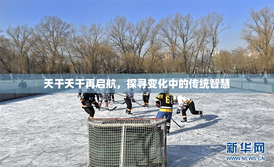 天干天干再启航，探寻变化中的传统智慧
