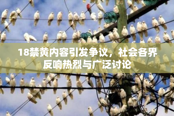 18禁黄内容引发争议，社会各界反响热烈与广泛讨论