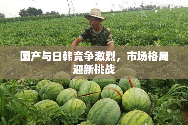 国产与日韩竞争激烈，市场格局迎新挑战