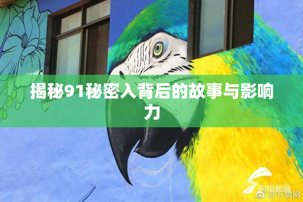 揭秘91秘密入背后的故事与影响力