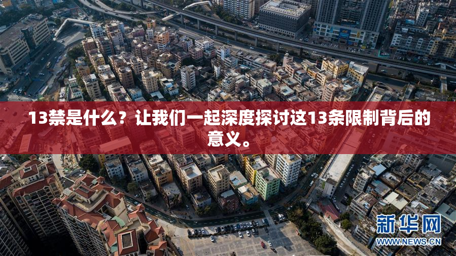 13禁是什么？让我们一起深度探讨这13条限制背后的意义。