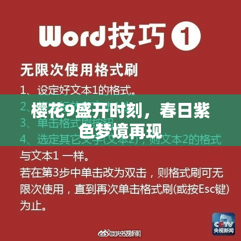 樱花9盛开时刻，春日紫色梦境再现