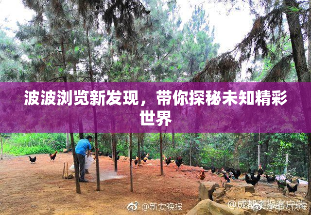波波浏览新发现，带你探秘未知精彩世界