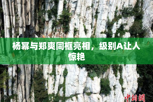 杨幂与郑爽同框亮相，级别A让人惊艳