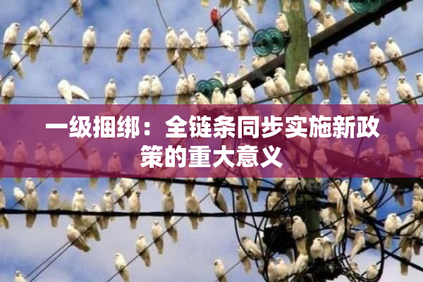 一级捆绑：全链条同步实施新政策的重大意义