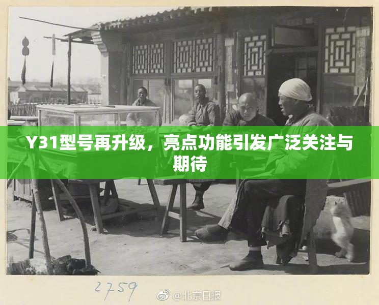 Y31型号再升级，亮点功能引发广泛关注与期待