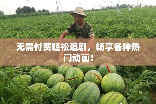无需付费轻松追剧，畅享各种热门动画！