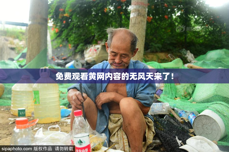 免费观看黄网内容的无风天来了！