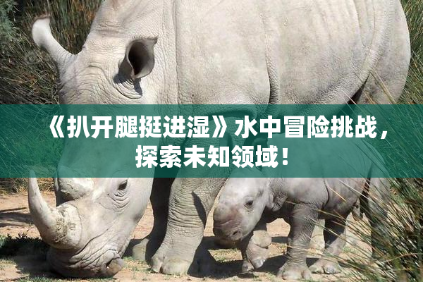 《扒开腿挺进湿》水中冒险挑战，探索未知领域！
