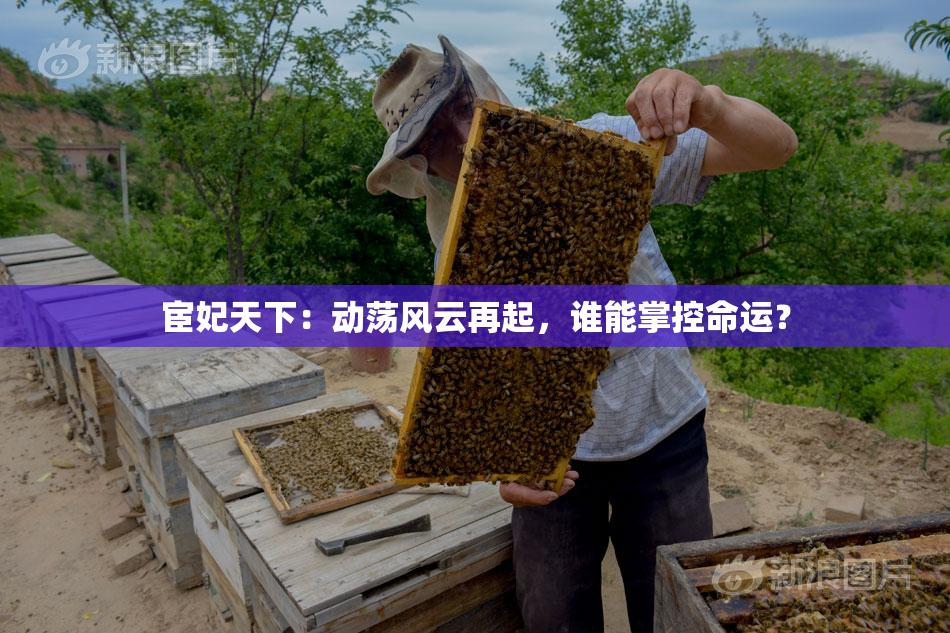 宦妃天下：动荡风云再起，谁能掌控命运？