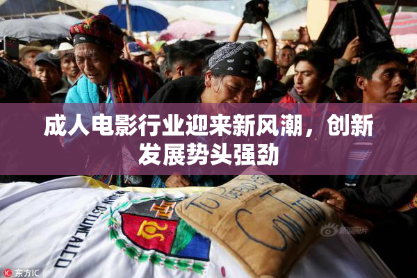 成人电影行业迎来新风潮，创新发展势头强劲