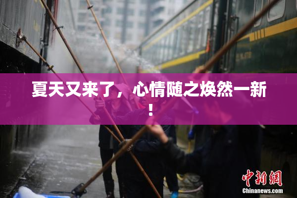夏天又来了，心情随之焕然一新！