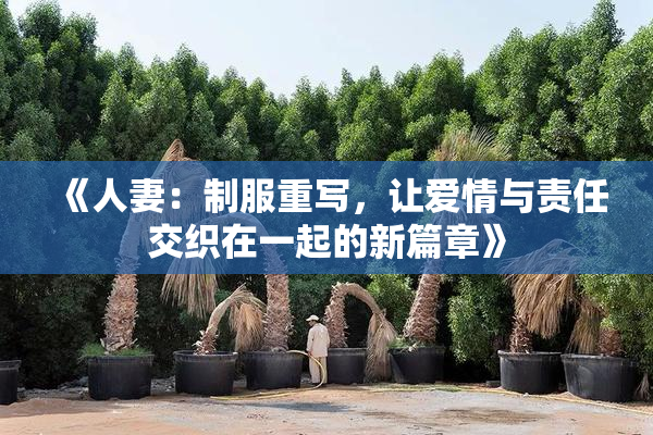 《人妻：制服重写，让爱情与责任交织在一起的新篇章》