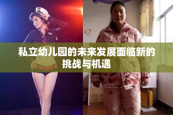私立幼儿园的未来发展面临新的挑战与机遇
