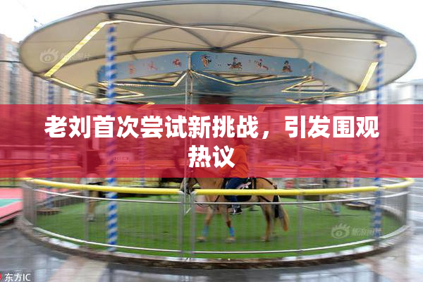 老刘首次尝试新挑战，引发围观热议