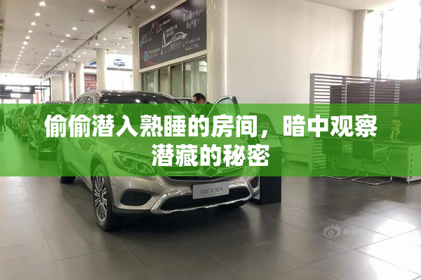偷偷潜入熟睡的房间，暗中观察潜藏的秘密