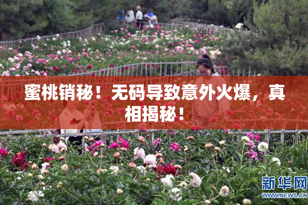 蜜桃销秘！无码导致意外火爆，真相揭秘！