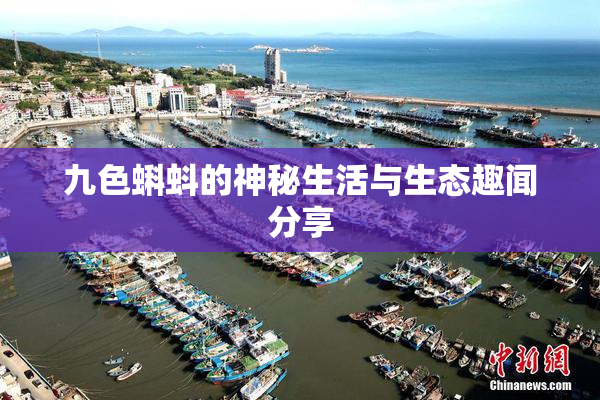 九色蝌蚪的神秘生活与生态趣闻分享
