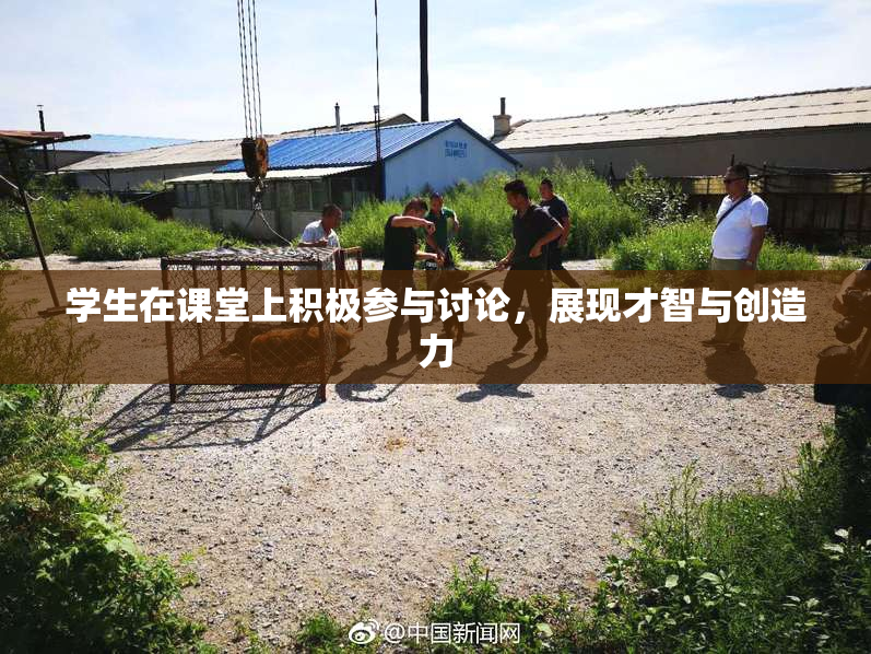 学生在课堂上积极参与讨论，展现才智与创造力