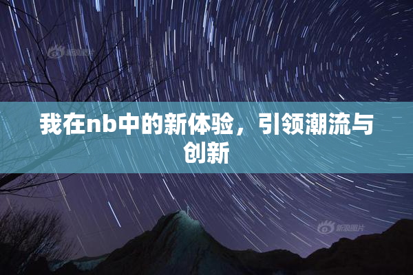我在nb中的新体验，引领潮流与创新