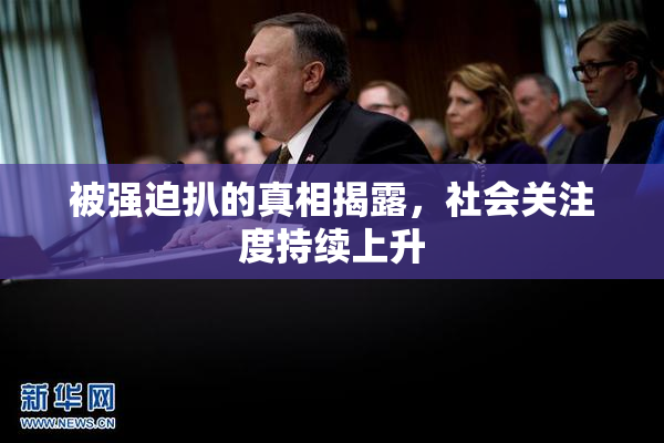 被强迫扒的真相揭露，社会关注度持续上升