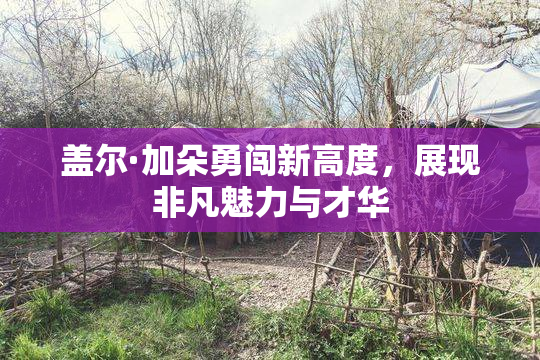 盖尔·加朵勇闯新高度，展现非凡魅力与才华