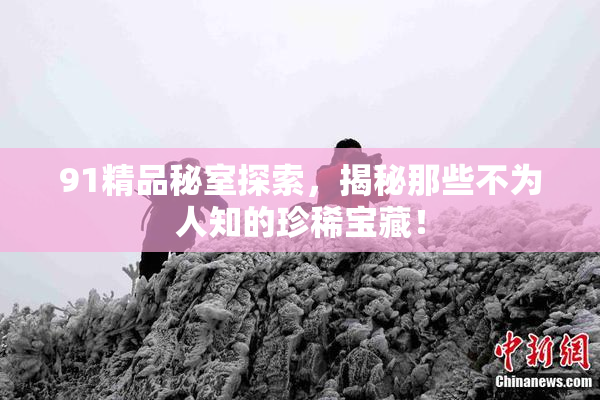 91精品秘室探索，揭秘那些不为人知的珍稀宝藏！