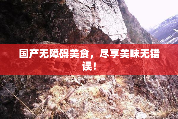 国产无障碍美食，尽享美味无错误！