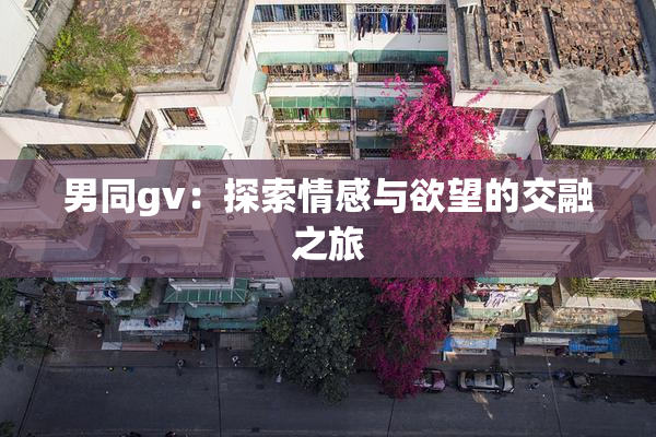 男同gv：探索情感与欲望的交融之旅